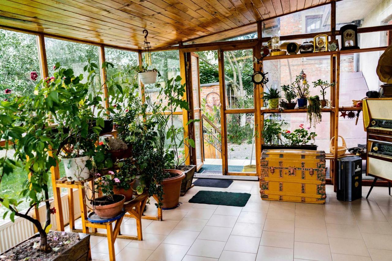Hostel Villa Roma 리비프 외부 사진